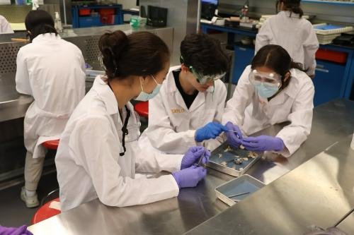 FeedBack-Programa-Pre-College-em-Boston-2