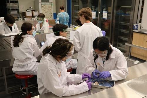 FeedBack-Programa-Pre-College-em-Boston-3