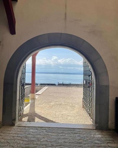 Feedback-da-nossa-aluna-Leticia-2